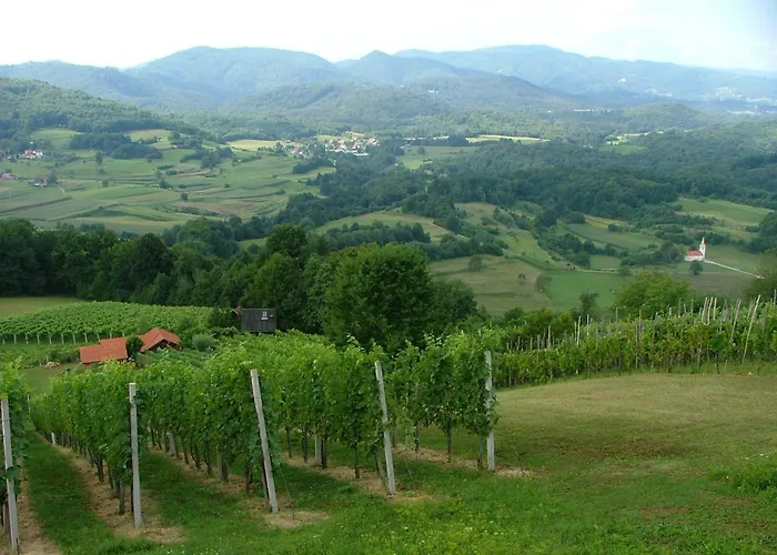 Tourist Farm Pri Martinovih