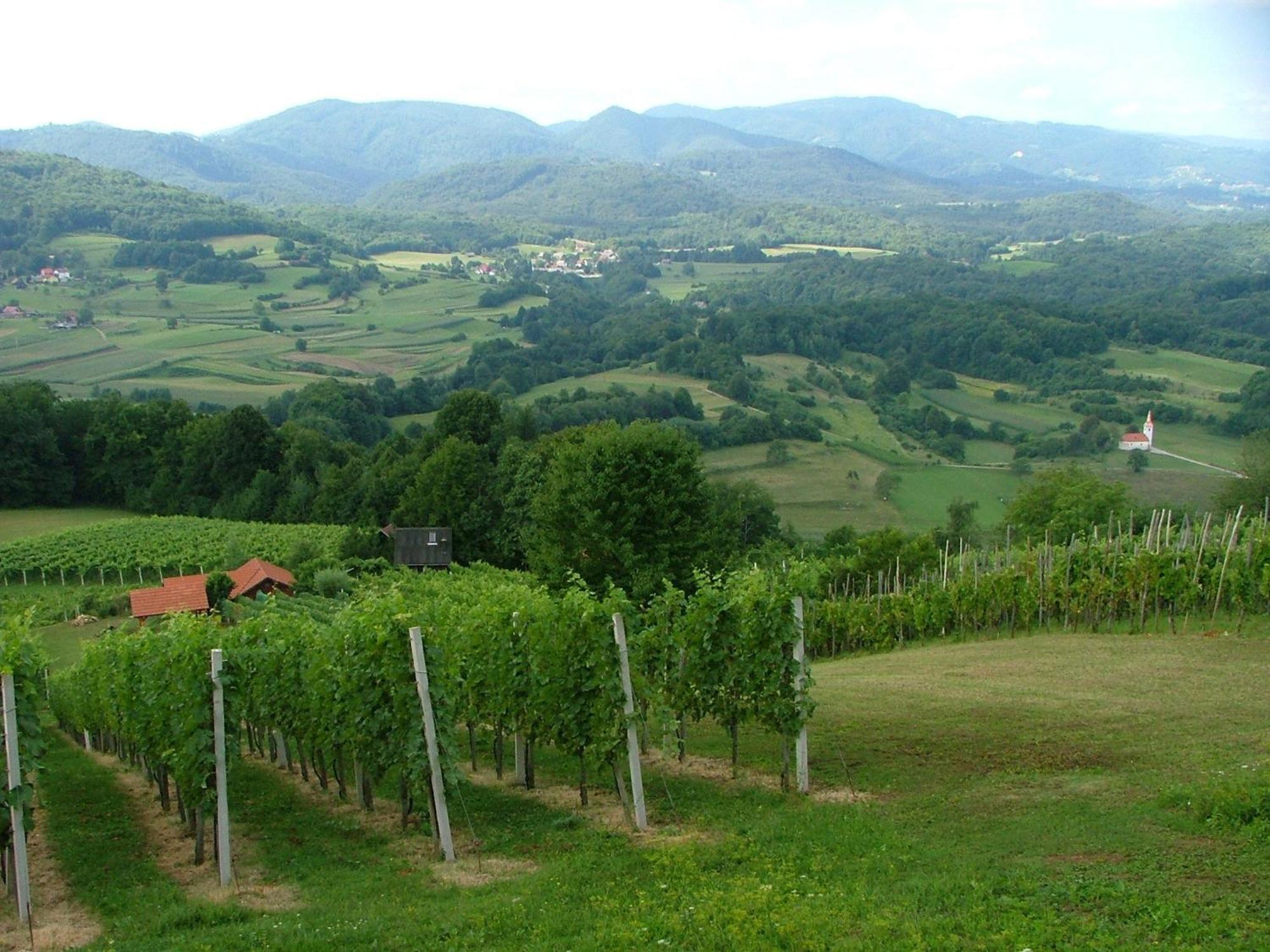 Tourist Farm Pri Martinovih * Krška Vas